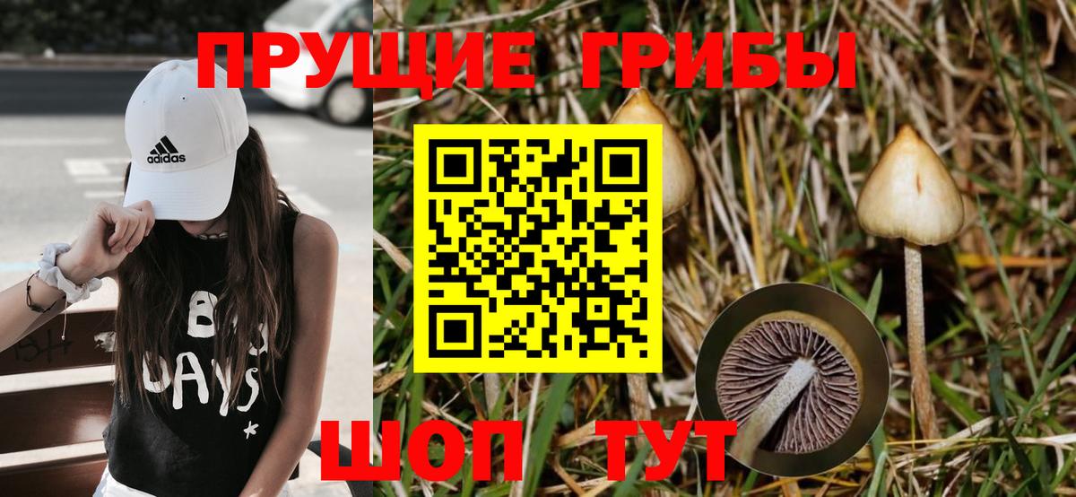 Псилоцибиновые грибы прущие грибы Анжеро-Судженск