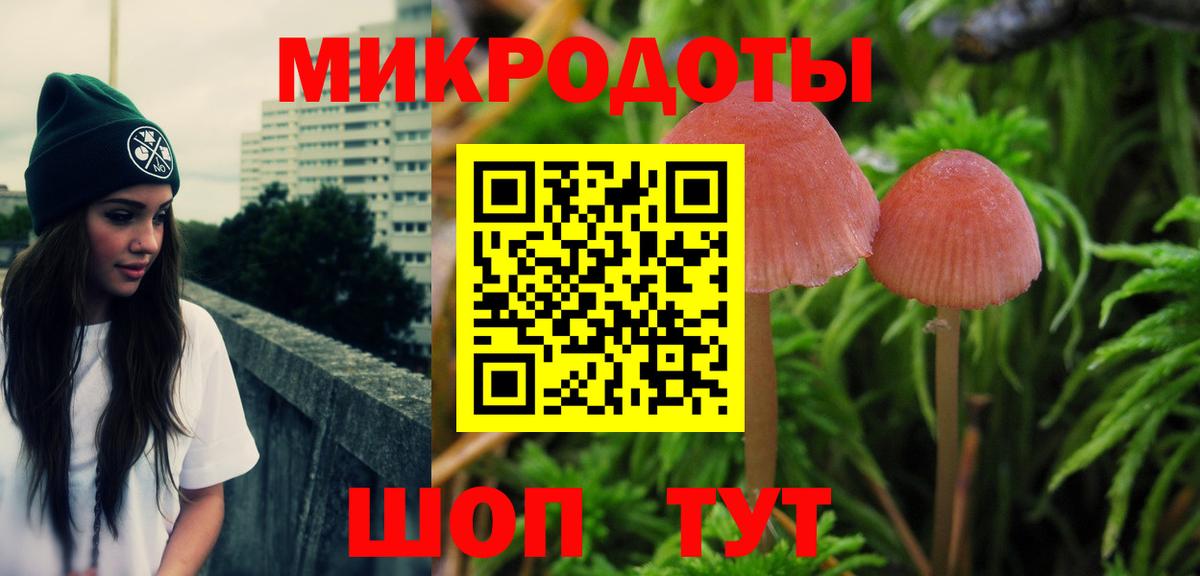 Анжеро-Судженск  Галлюциногенные грибы GOLDEN TEACHER  Вход с VPN 