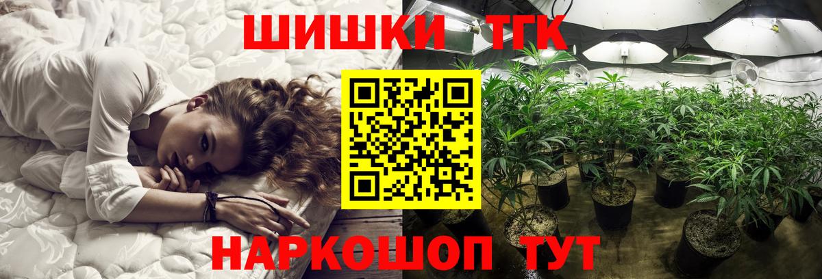 Конопля гибрид Анжеро-Судженск